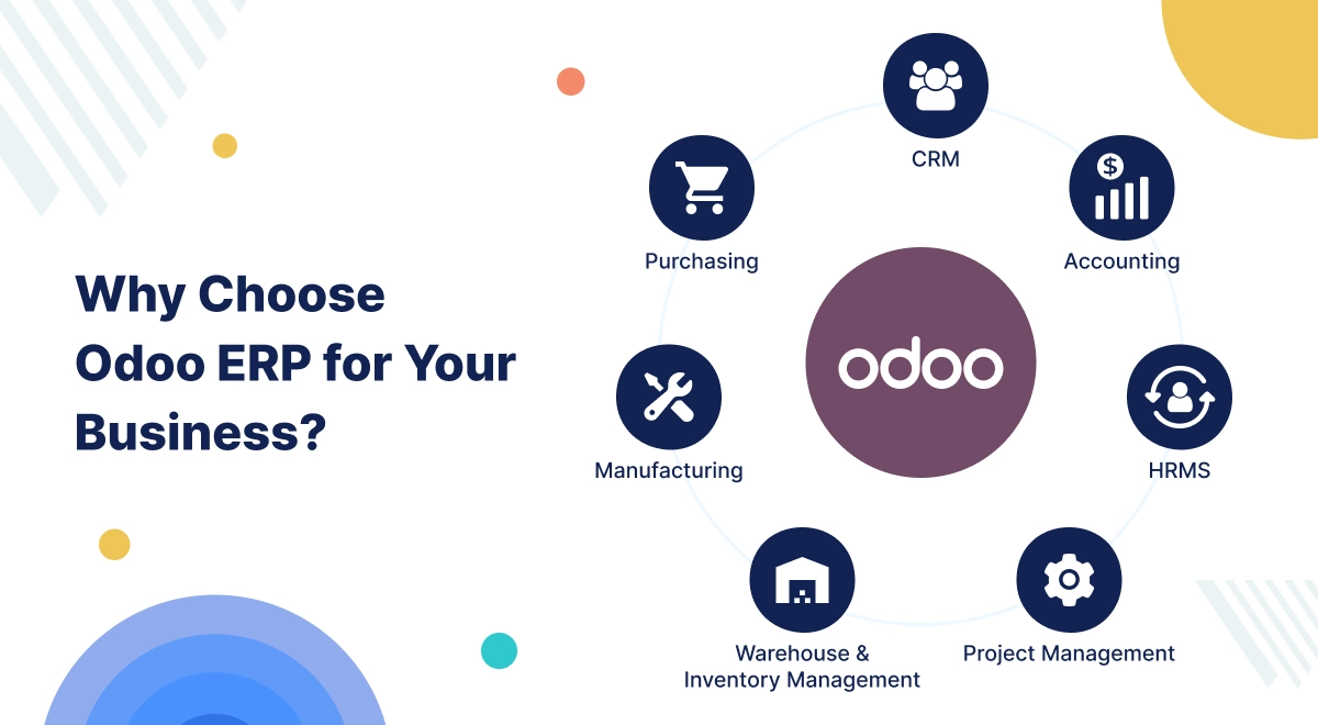 Why Should eCommerce Entrepreneurs Choose Odoo? A Comparative Guide for 2026