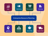 5 Critical Points Before ERP Implementation: A Guide for Entrepreneurs